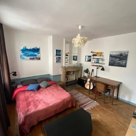 Cosy Plein Centre-ville 스트라스부르